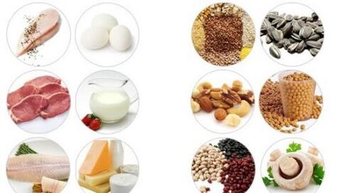Animal and plant protein rich foods for male strength