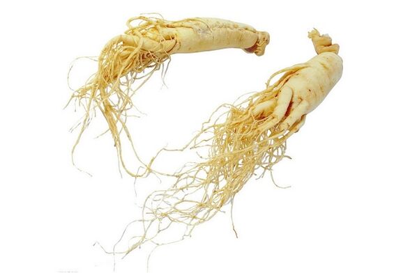 Ginseng root - folk remedy to enhance male physiology